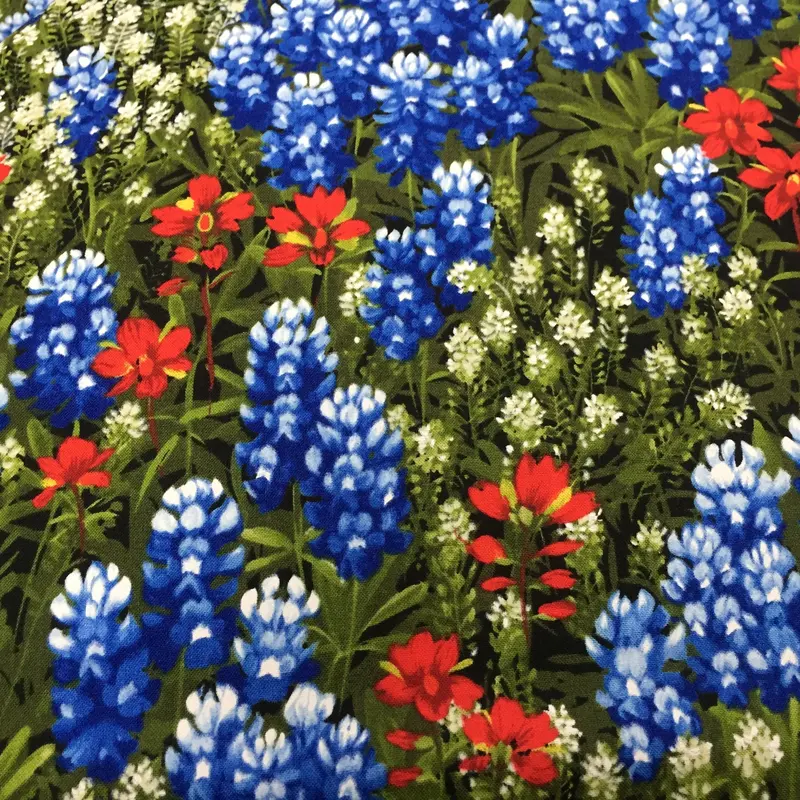 Wildflowers Basics Summer 32362 11 1