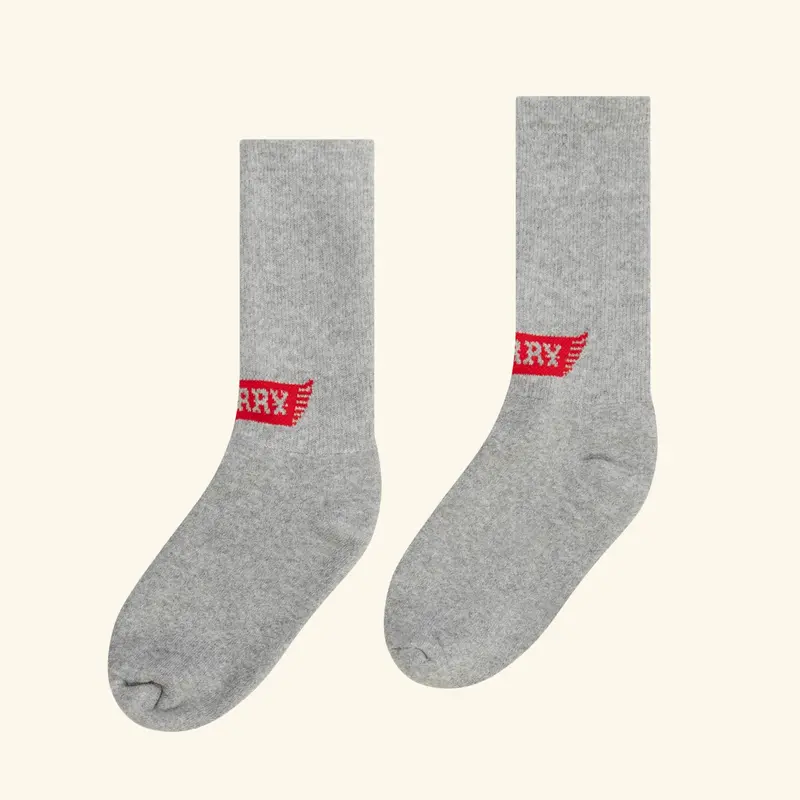 Wings Socks (Grey) 1