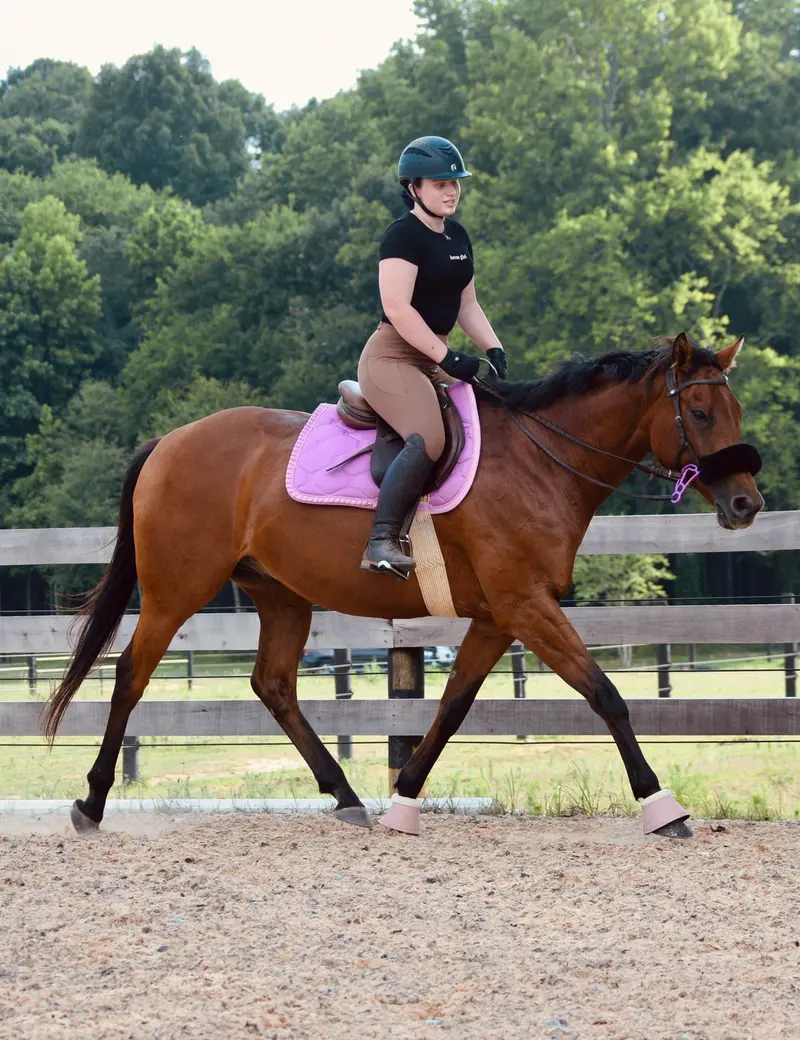 Women Full Seat Breeches With Pockets 5