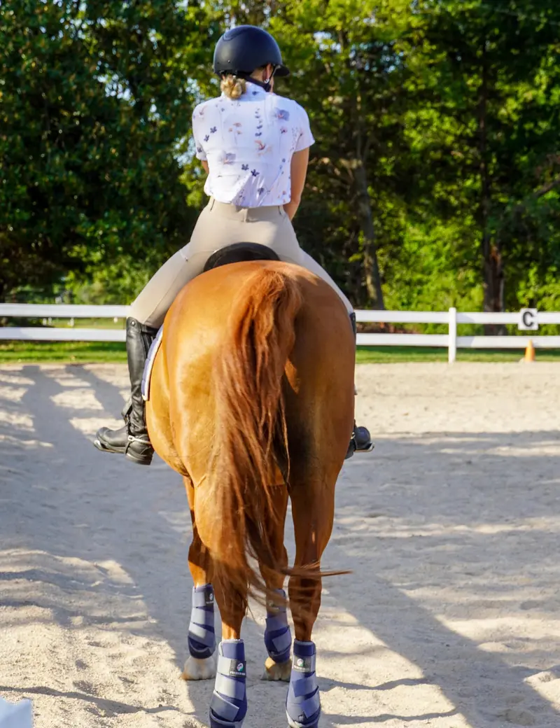 Women Full Seat Riding Tights Breeches 11