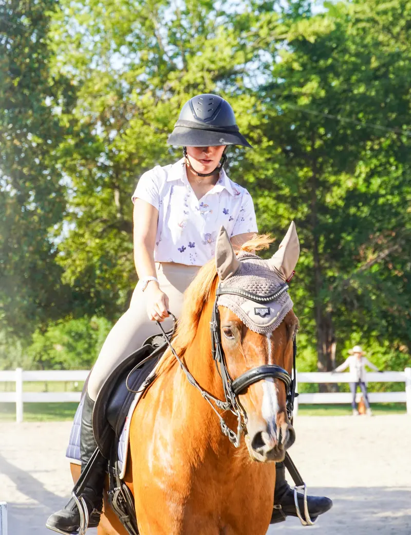 Women Full Seat Riding Tights Breeches 12