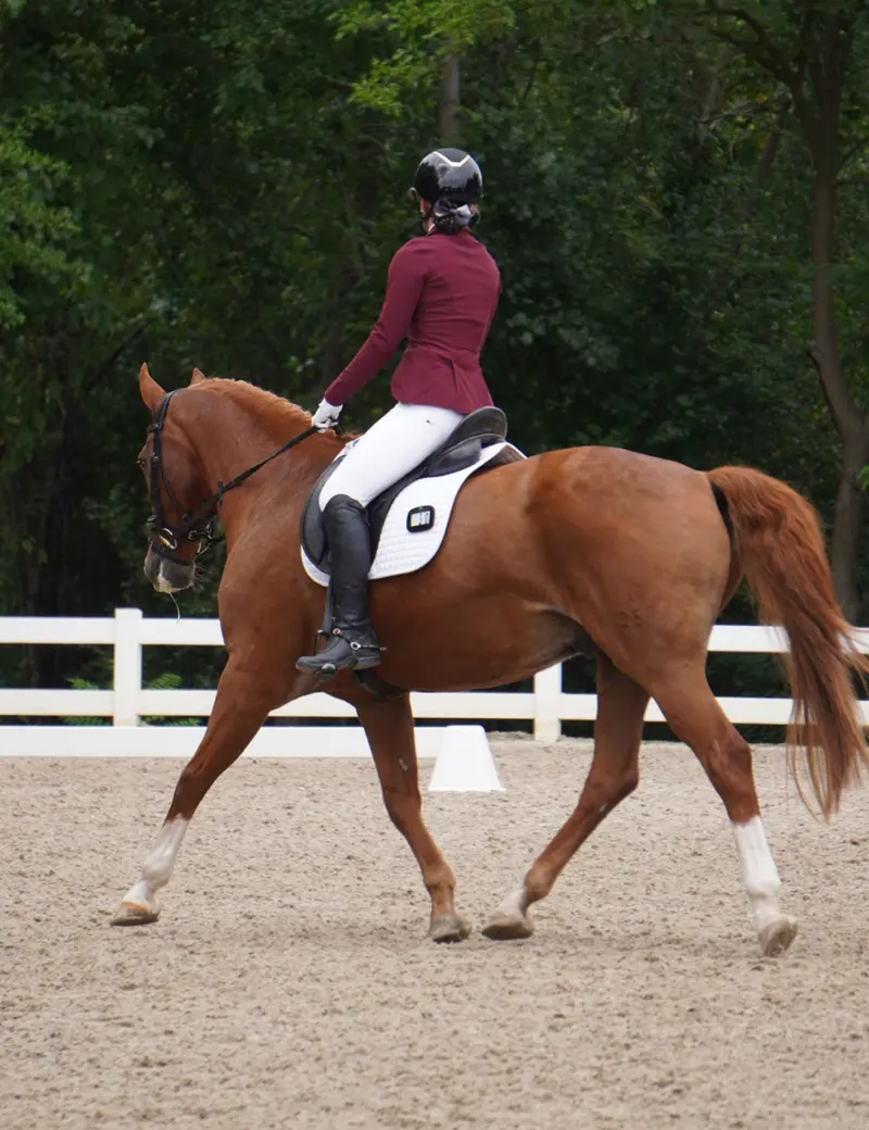 Women Full Seat Riding Tights Breeches 23