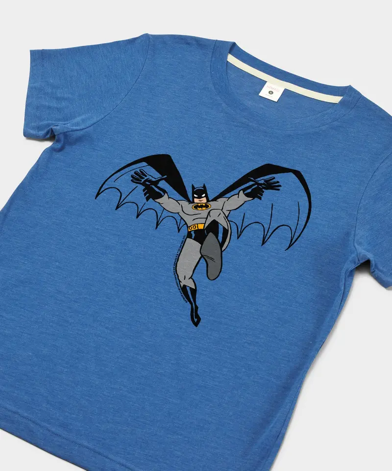 Women's Batman Character 2