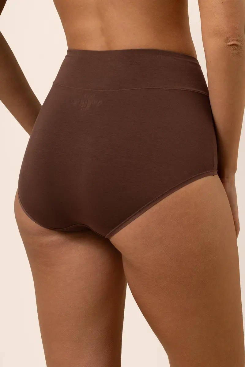 Women's High-Waisted Brief In Toffee 2