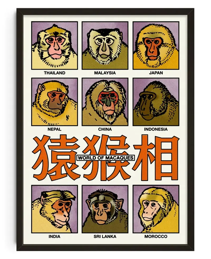 World Of Macaques 1