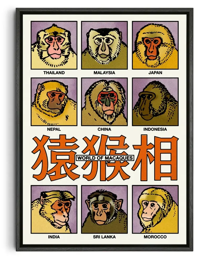 World Of Macaques 1