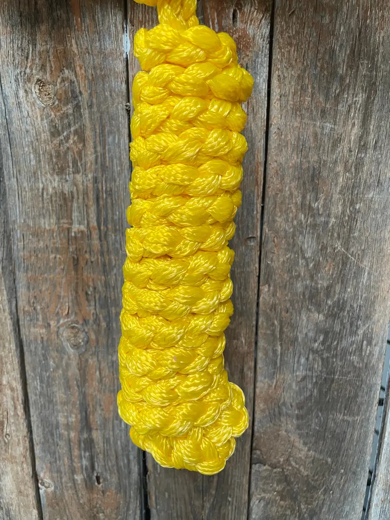 Yellow Mule Tape Halter 2