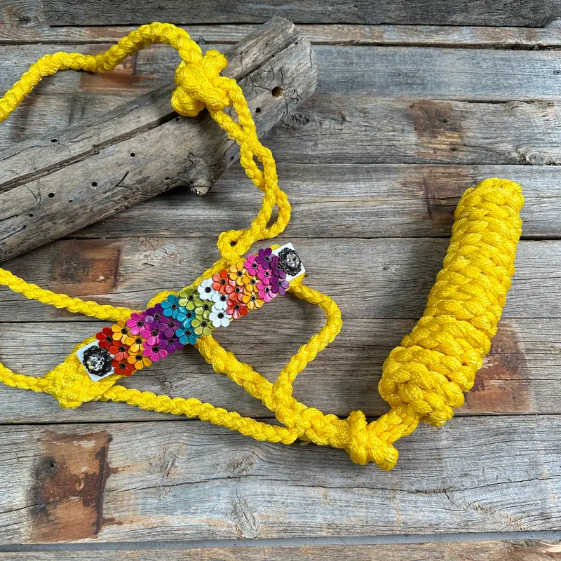 Yellow Mule Tape Halter - Multi Floral And Clear #Mt229 1