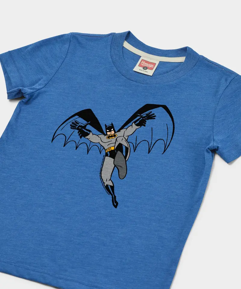Youth Batman Character 2