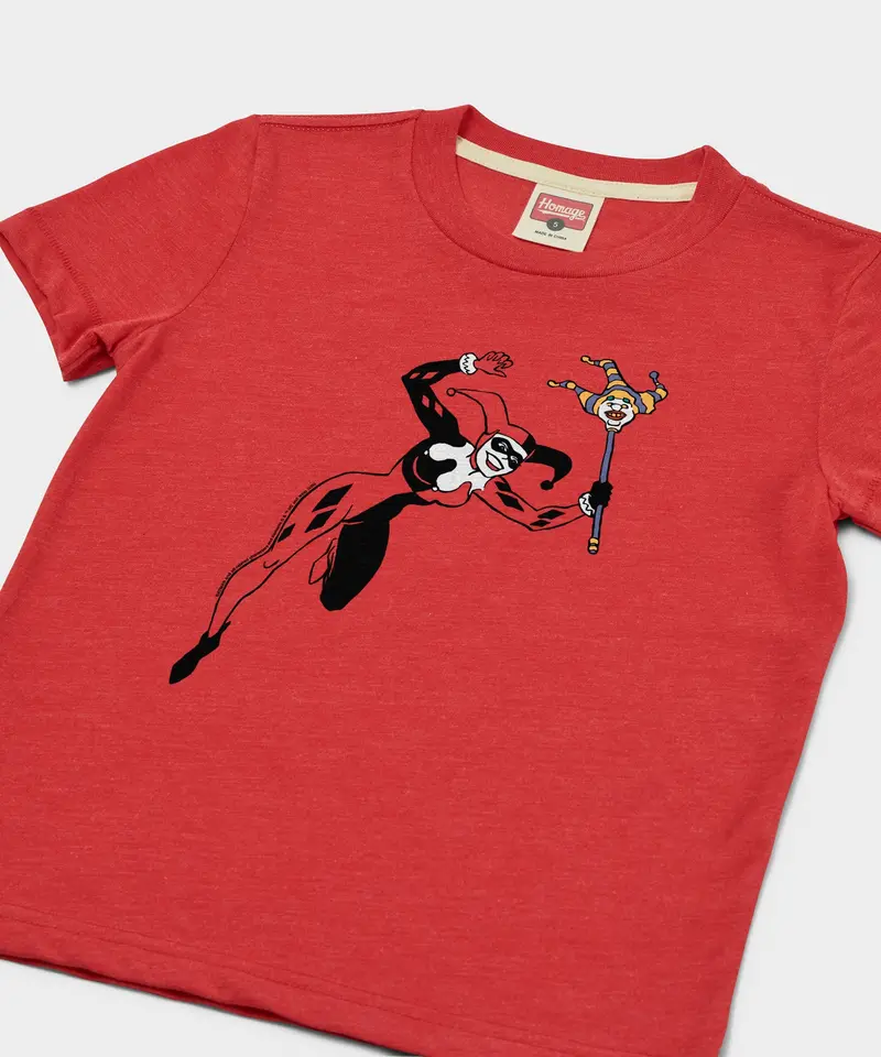 Youth Batman Harley Quinn Character 2
