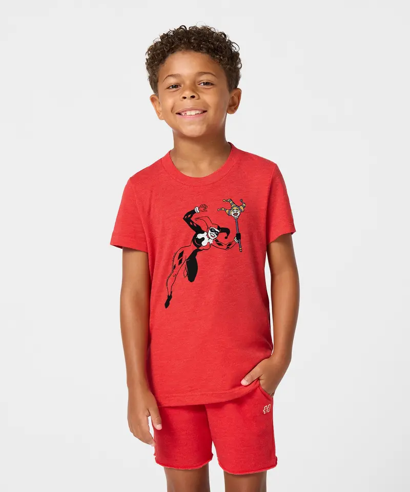 Youth Batman Harley Quinn Character 3
