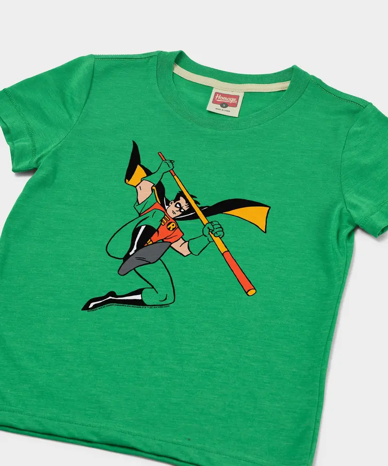 Youth Batman Robin Character 2