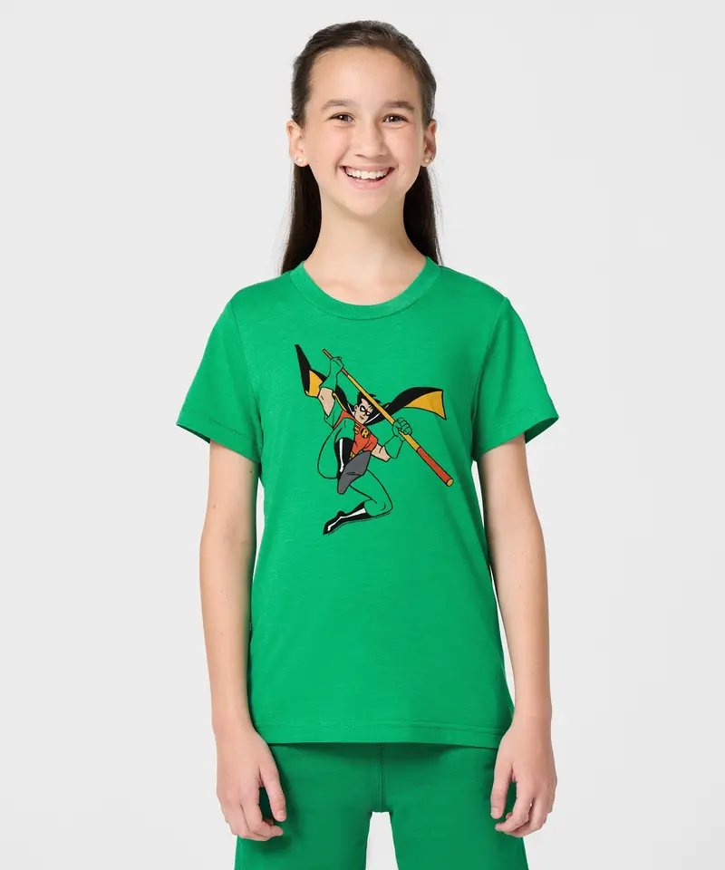 Youth Batman Robin Character 3