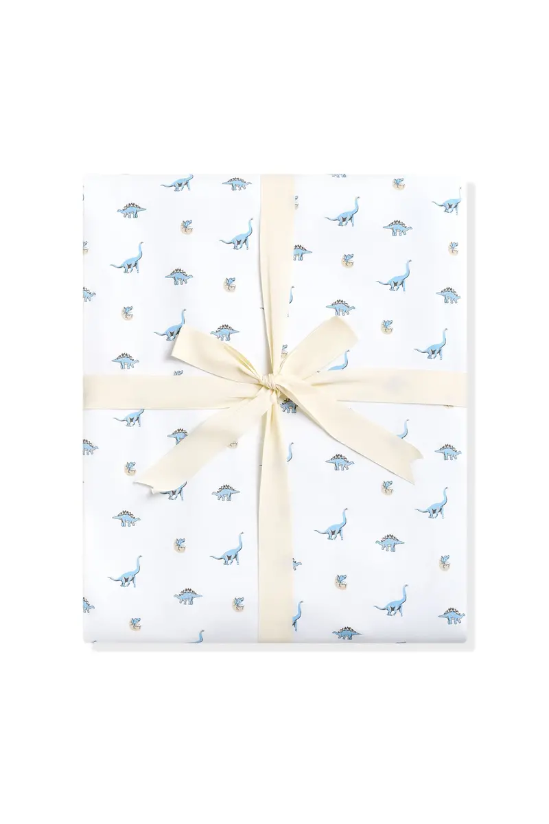 Youth Blanket In Jurassic 1.0 1