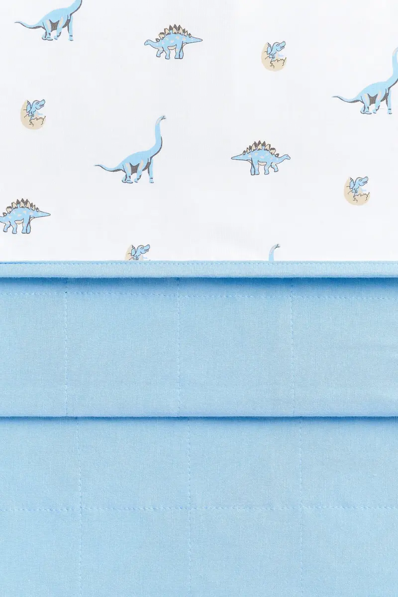 Youth Blanket In Jurassic 1.0 2
