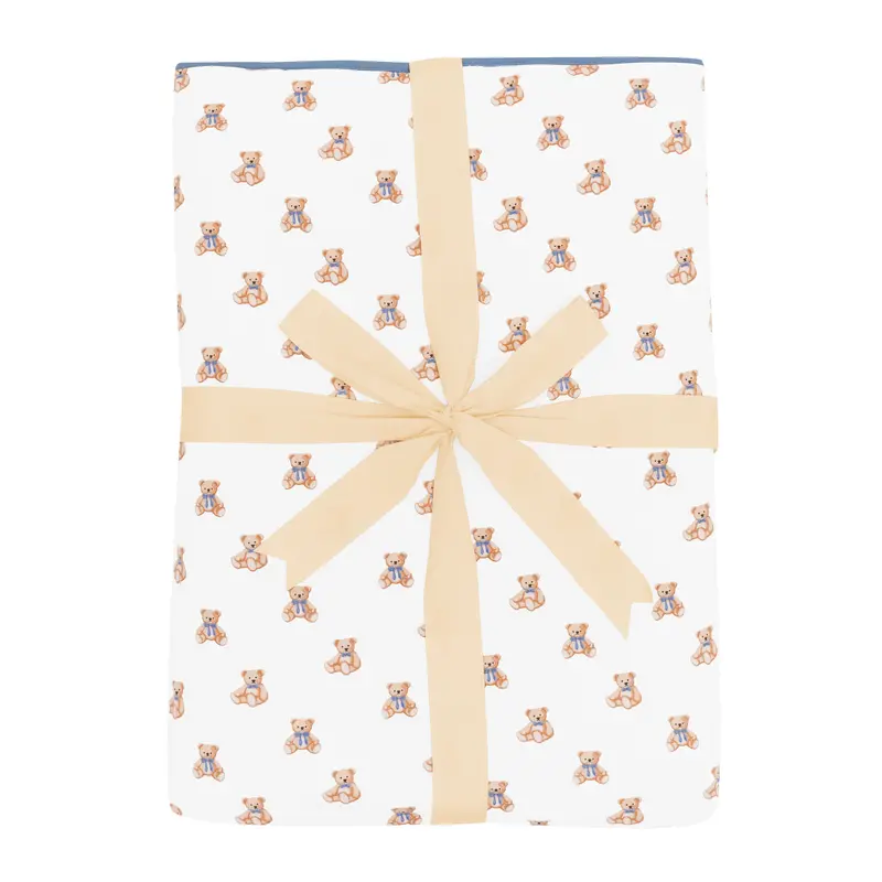 Youth Blanket In Teddy Bear 1.0 2