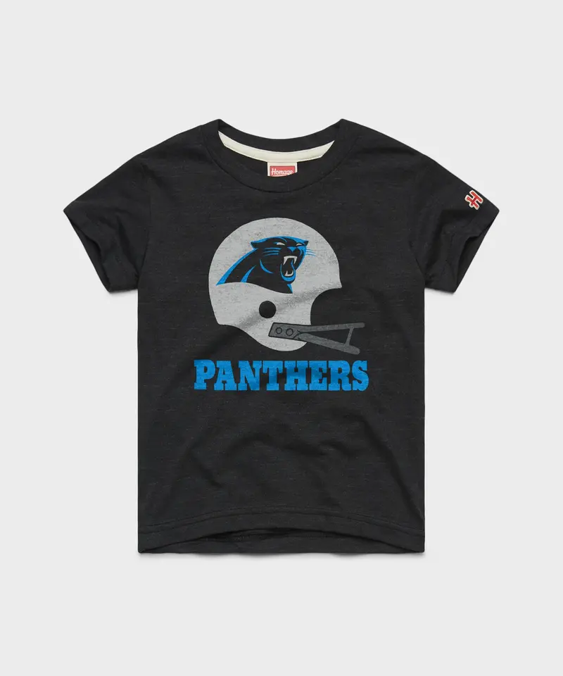 Youth Carolina Panthers Big Helmet 1