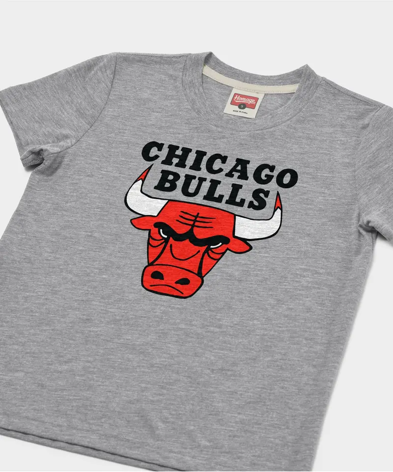 Youth Chicago Bulls Logo 2