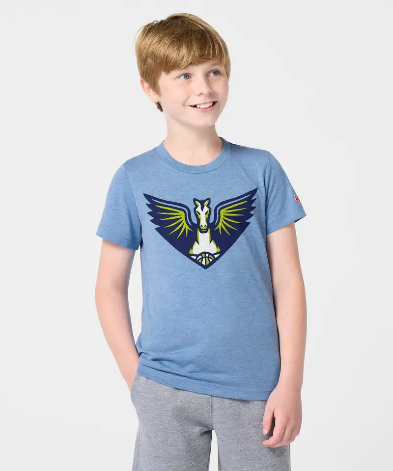 Youth Dallas Wings Logo 3