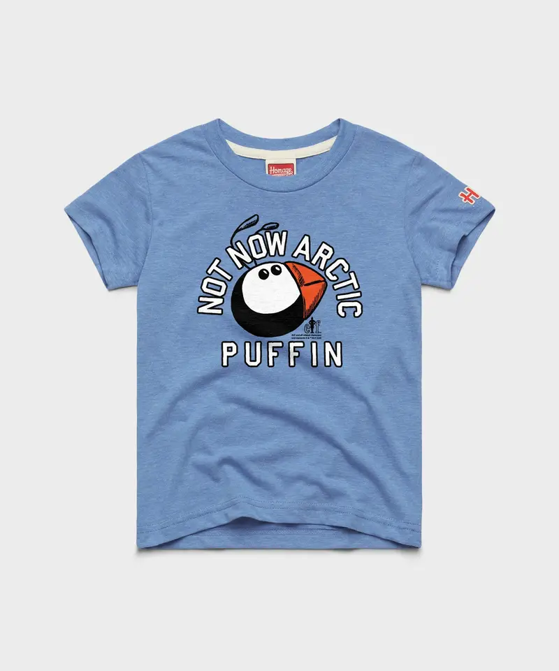 Youth Not Now Arctic Puffin 1