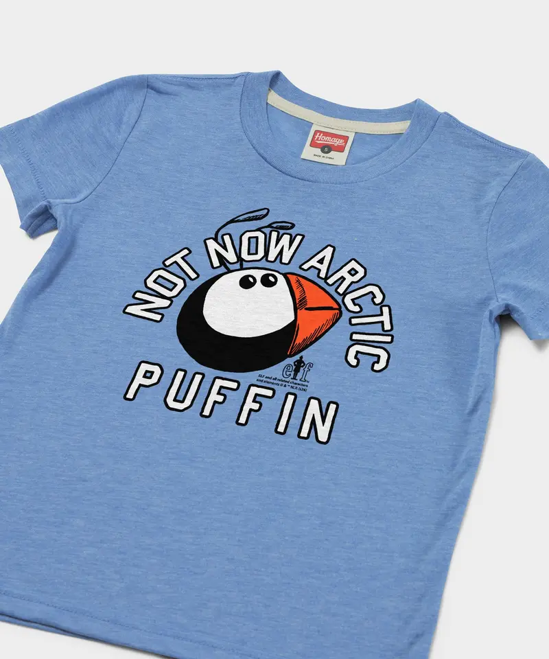 Youth Not Now Arctic Puffin 2