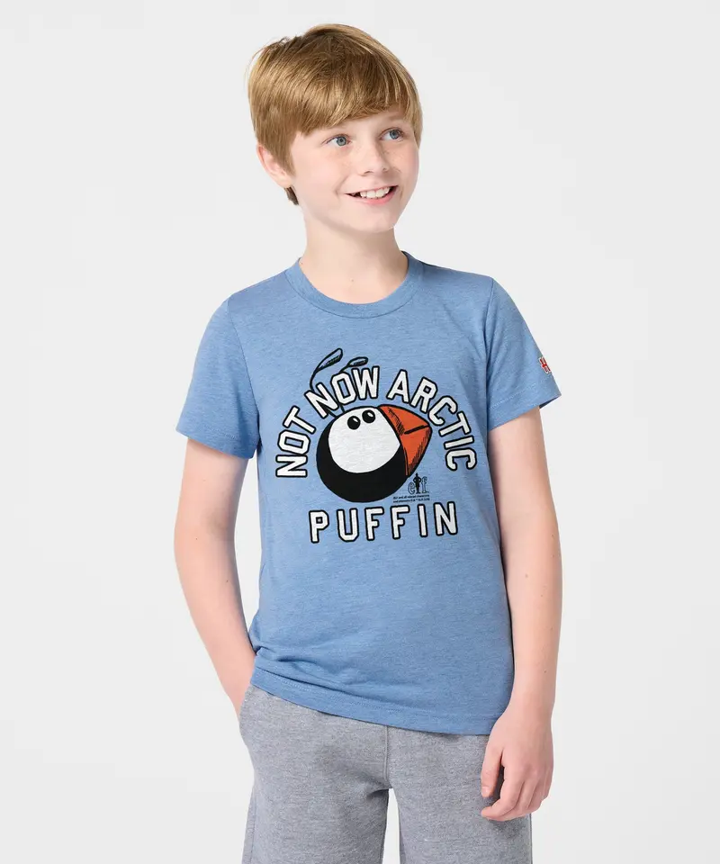 Youth Not Now Arctic Puffin 3