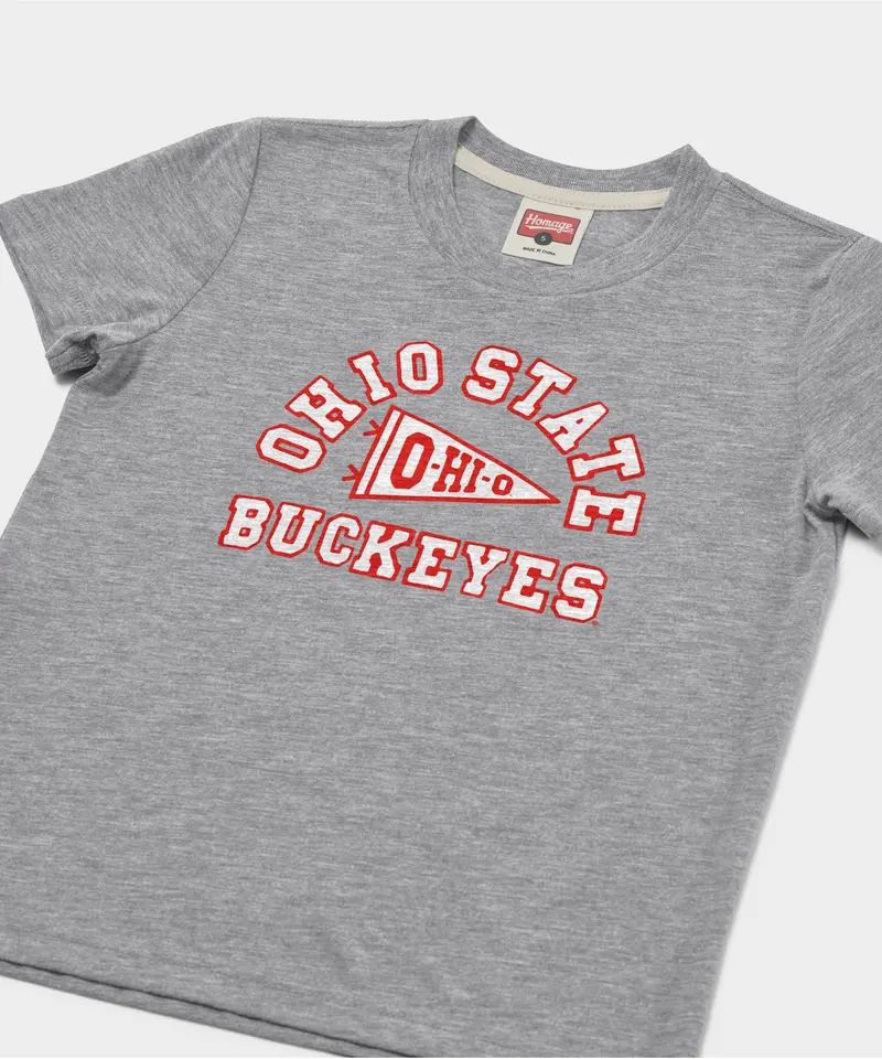 Youth Ohio State Buckeyes Pennant 2