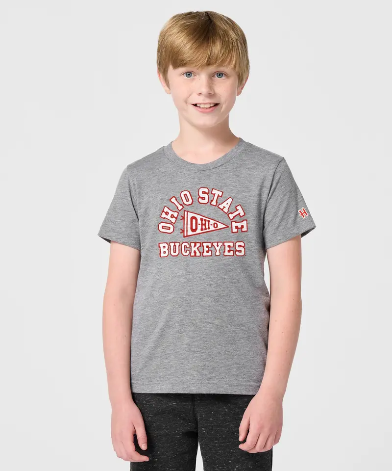 Youth Ohio State Buckeyes Pennant 3
