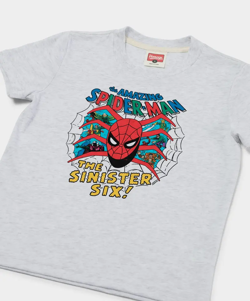 Youth Spider-Man The Sinister Six 2