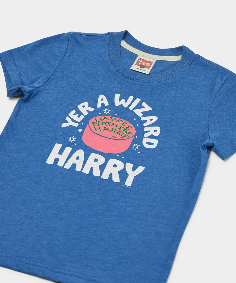 Youth Yer A Wizard Harry 2