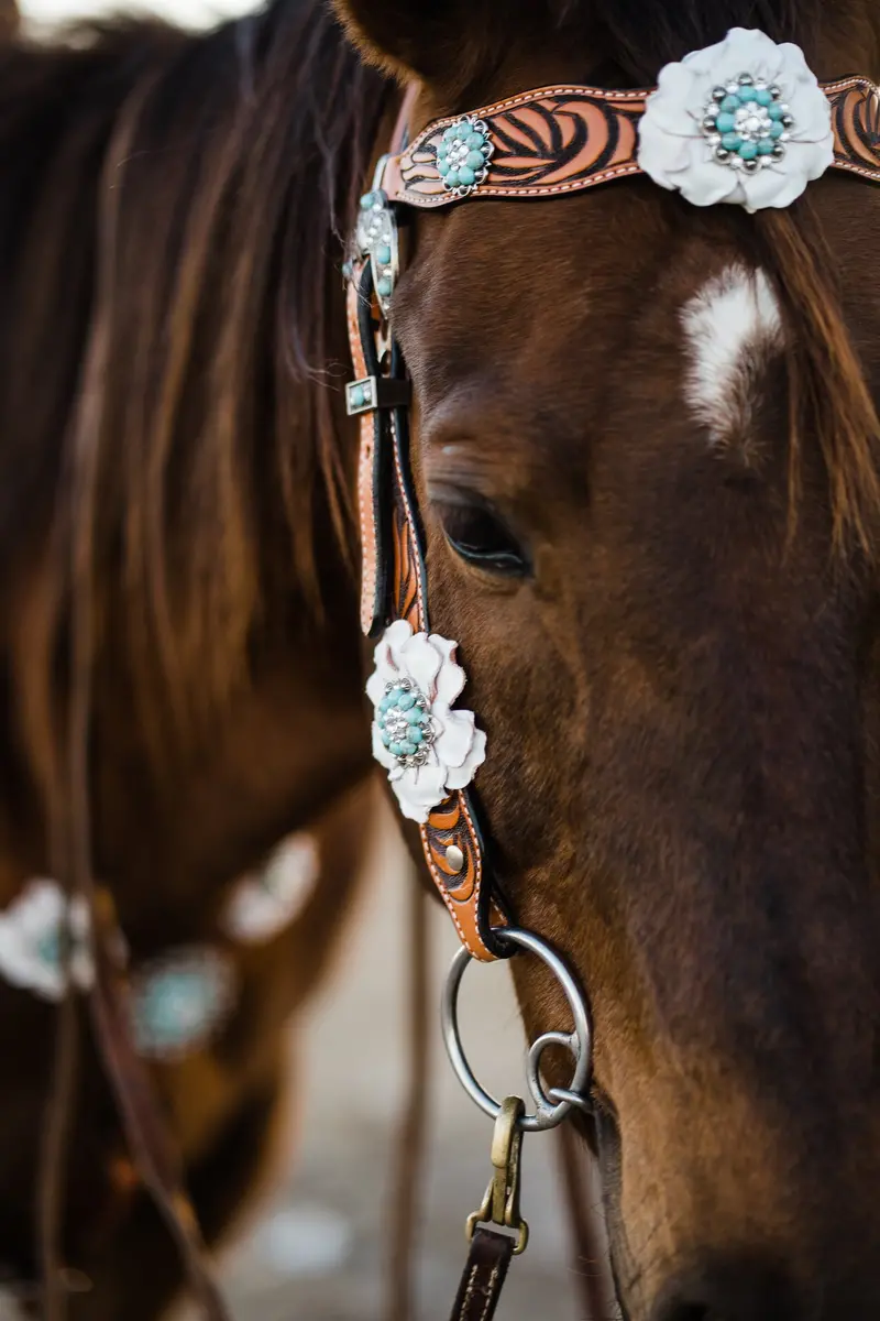 Zebra Turquoise And White Browband / Breastcollar Tack Set #Bbbc536 3